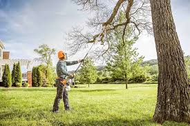 How Our Tree Care Process Works  in  Gardendale, TX